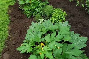 71 Deerwood Hollow, Chester, NH 03036 - Photo 41