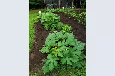 71 Deerwood Hollow, Chester, NH 03036 - Photo 43