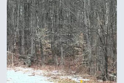 New Hampshire Route 119, Rindge, NH 03461 - Photo 3