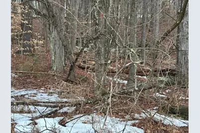 New Hampshire Route 119, Rindge, NH 03461 - Photo 11