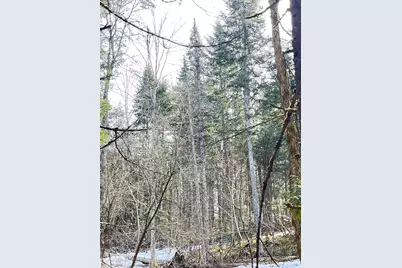 0 Hollow Road, Barton, VT 05822 - Photo 5
