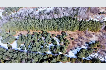 0 Hollow Road, Barton, VT 05822 - Photo 7