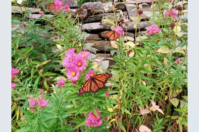 3130 Vt Route 100, Whitingham, VT 05342 - Photo 31