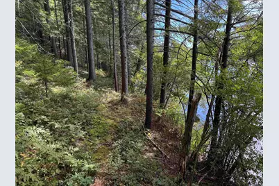 00 Lake Hill Road, Whitingham, VT 05361 - Photo 9