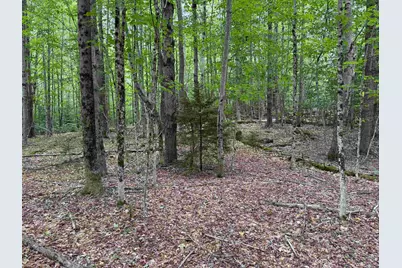 00 Lake Hill Road, Whitingham, VT 05361 - Photo 17