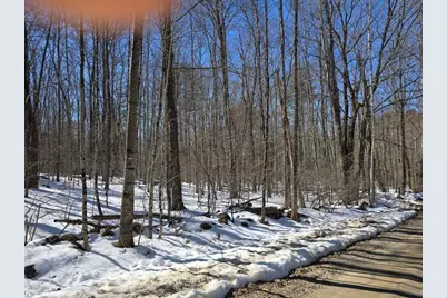 Copeland Road, Unity, NH 03603 - Photo 3