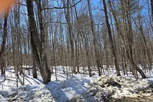 Copeland Rd, Unity, NH 03603 - Photo 1