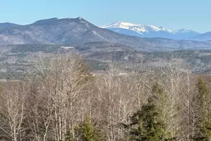 84 Cormack Dr, Madison, NH 03849 - Photo 1