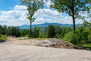 84 Cormack Dr, Madison, NH 03849 - Photo 19