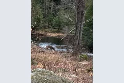 601 Lempster Street, Lempster, NH 03605 - Photo 7