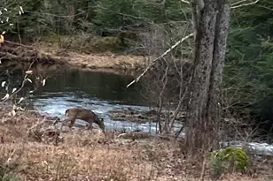 601 Lempster St, Lempster, NH 03605 - Photo 7