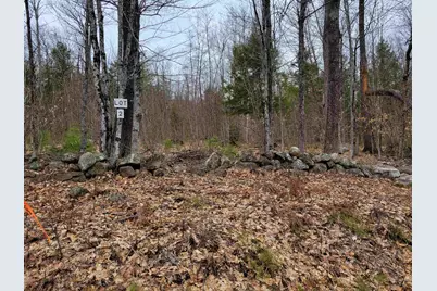 582-2 West Fryeburg Road, Fryeburg, ME 03847 - Photo 3