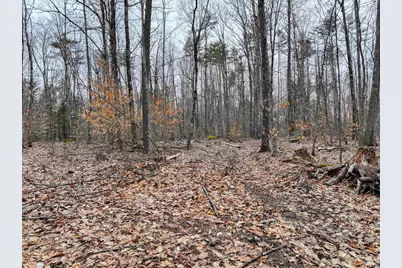 Tbd McConnell Road, Brandon, VT 05733 - Photo 9