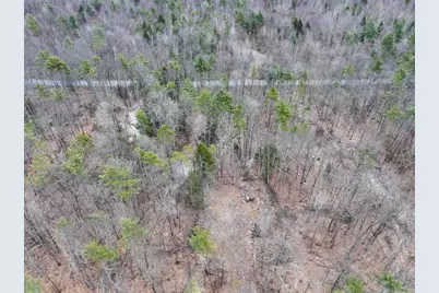 Tbd McConnell Road, Brandon, VT 05733 - Photo 11