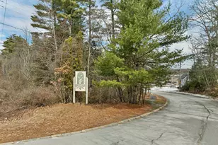 46 Brinton Dr, Nashua, NH 03064 - Photo 39