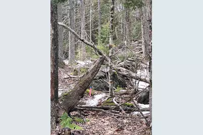 00 Rogers Road, Alstead, NH 03602 - Photo 1