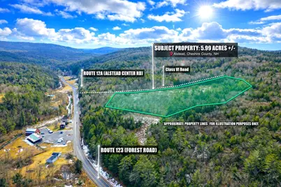 Lot 9-29 Murphy Hill Road, Alstead, NH 03602 - Photo 1