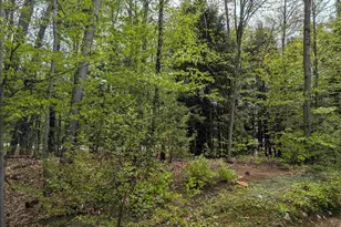 11 Cascade Dr, Woodstock, NH 03262 - Photo 41