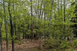 11 Cascade Dr, Woodstock, NH 03262 - Photo 37