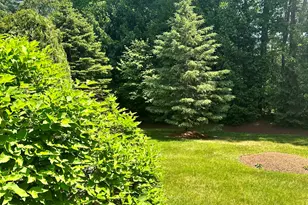 7 Mulberry Ln, Amherst, NH 03031 - Photo 5