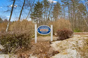 43 Hampshire Hills Dr, Bow, NH 03304 - Photo 51