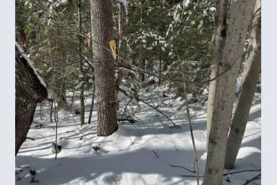 224 Valley Road, Ossipee, NH 03814 - Photo 7