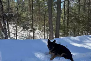 224 Valley Rd, Ossipee, NH 03814 - Photo 1