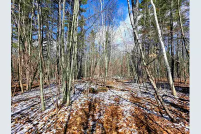 0 Gile Road, Franklin, NH 03235 - Photo 15