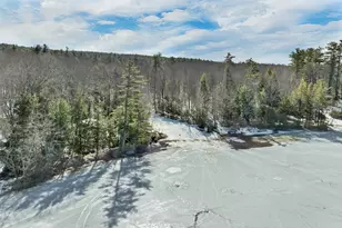 20 Alberg Rd, Tuftonboro, NH 03816 - Photo 47