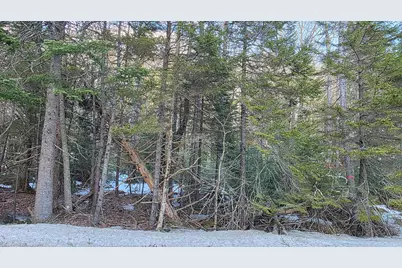 M10 L50 Ashuelot Drive, Washington, NH 03280 - Photo 19