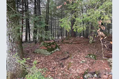 14-077 Deerpoint Drive, Hillsboro, NH 03244 - Photo 1