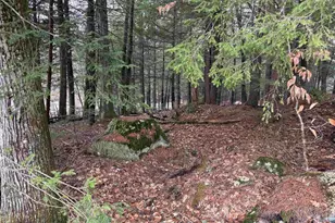 14-077 Deerpoint Dr, Hillsboro, NH 03244 - Photo 1