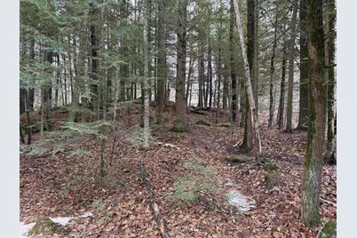 14-077 Deerpoint Drive, Hillsboro, NH 03244 - Photo 7