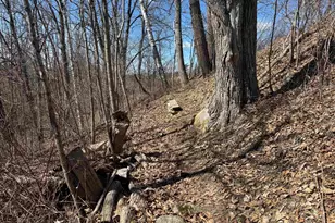 52 Farr Rd, Lebanon, NH 03766 - Photo 47