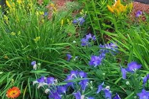 15 Edgewood Dr, Hopkinton, NH 03229 - Photo 29