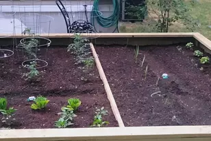 15 Edgewood Dr, Hopkinton, NH 03229 - Photo 19