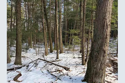 1 Shady Lane #1, New Hampton, NH 03256 - Photo 3