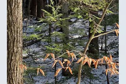 1 Shady Lane #1, New Hampton, NH 03256 - Photo 5