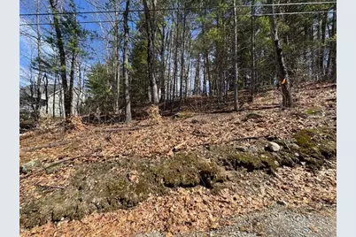 Lot 185 Nutter Drive #Map 71, Lot 185, Alton, NH 03809 - Photo 7