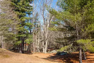 2 Sagamore Ln, Rochester, NH 03867 - Photo 37