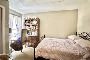 43 Tenney Brook Rd, Plymouth, NH 03264 - Photo 19