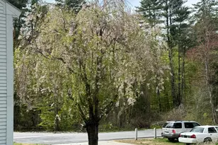 244 Page Rd, Bow, NH 03304 - Photo 35