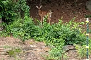 244 Page Rd, Bow, NH 03304 - Photo 37