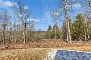 189 Byam Rd, New Boston, NH 03070 - Photo 43