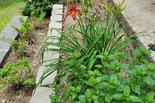 39 Longwood Dr, Swanzey, NH 03431 - Photo 9