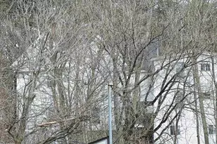 75 W Main St, Littleton, NH 03561 - Photo 1