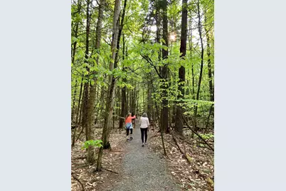 00 Iron Foundry Road, Franconia, NH 03580 - Photo 29