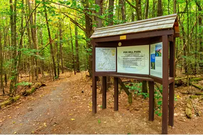 00 Iron Foundry Road, Franconia, NH 03580 - Photo 27