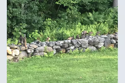 234 Paige Hill Road, Goffstown, NH 03045 - Photo 39