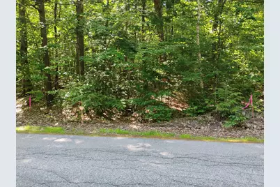 North Shore Road #Lot 101-15, New Durham, NH 03855 - Photo 3